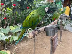 -南宫五洲植物乐园