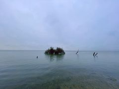 -呈贡滇池生态湿地公园