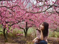 -金堂县云顶石城风景区
