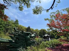 -申粤轩酒楼·三十年粤菜经典(丁香花园店)