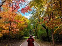 -长春市南湖公园