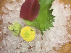 -月龍吟(朝龙汇店)