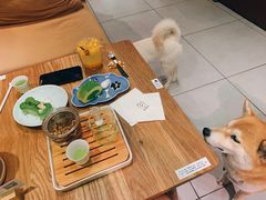 -柴务处·柴犬主题狗咖