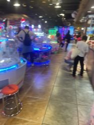 -卡通尼·Safari非洲探索乐园·生日会(金桥国际商业广场店)