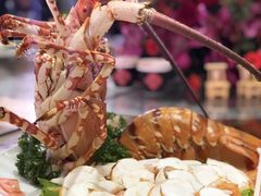 -8餐厅(新葡京酒店)