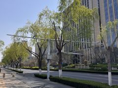 -济南喜来登酒店