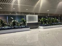 -青岛胶东国际机场
