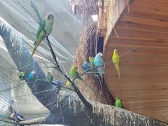 -南宫五洲植物乐园