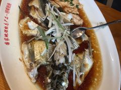 翘嘴鲌鱼-丹江渔村(望京店)