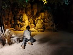 -西安电影制片厂