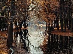 -上海共青森林公园