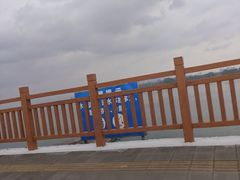 -江门古劳水乡旅游区