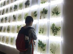 -广东中医药博物馆