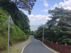 -黄埔油麻山森林公园