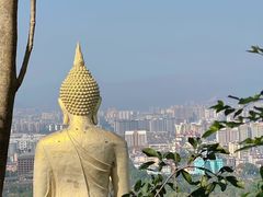 -西双版纳勐泐文化旅游区