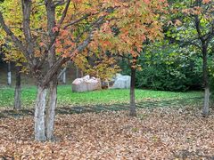 -长春世界雕塑园冰雪艺术天地