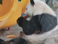 -灵玲国际马戏城