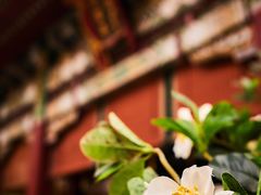 -横店影视城明清宫苑园区