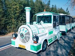 -泗洪洪泽湖湿地景区