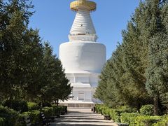 -凉州白塔寺景区