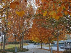 -北京园博大酒店