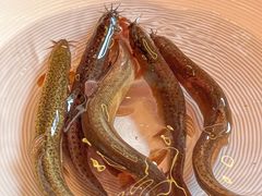 -洞子口重庆鲜货火锅(楚翘城旗舰店)