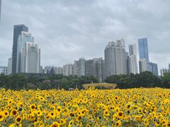 -海心沙亚运公园
