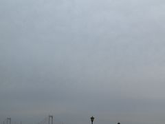 -大连圣亚海洋世界