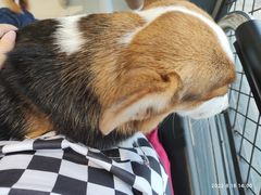 -怪兽屋·羊驼·猫咖·狗咖(俊华广场店)