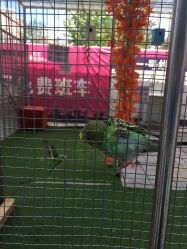 点击看大图 -萌宠亲子动物乐园(槐房万达店)