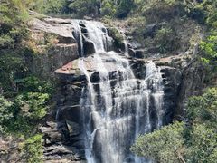 -海南热带雨林国家公园吊罗山景区