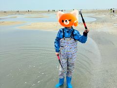 -红树林天天赶海