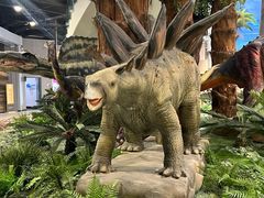 -辽宁古生物博物馆