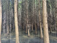-捞渔河湿地公园