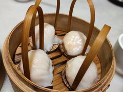 -金鼎轩(方庄天坛店)
