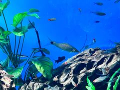 -太平洋海底世界