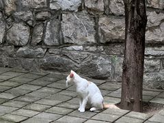 -四门塔风景区
