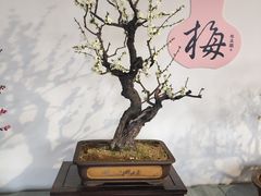-颐和园
