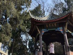 -子昂故里文化旅游区