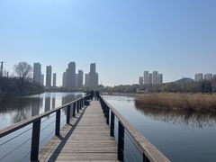 -前关湿地公园