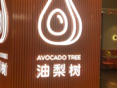 -油梨树 AVOCADO TREE(亮马桥店)