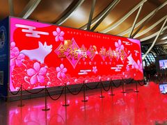 -上海浦东国际机场-T2航站楼