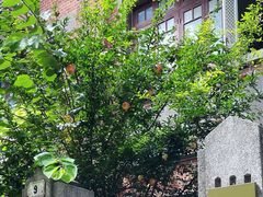 -上海鲁迅故居