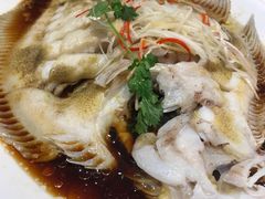 清蒸多宝鱼-新洪记·丽久饭店(铁西店)