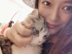 -飞行喵MR PILOT|猫舍·猫咖(静安大融城店)