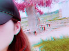 -北京东方普罗旺斯薰衣草庄园