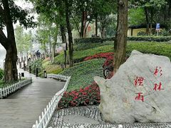 -重庆彩云湖湿地公园