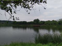 -东郊湿地公园