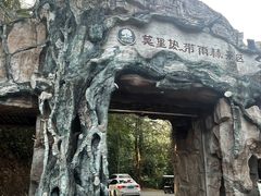 -莫里热带雨林景区