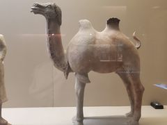 -敦煌市博物馆